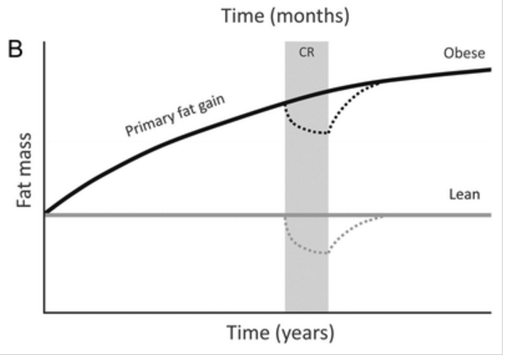 energibalanse2